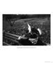 Page: - 61 | Aperture