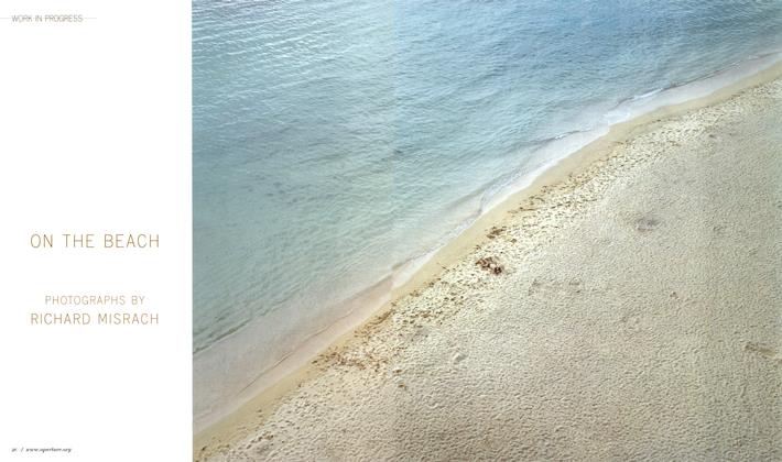 On The Beach: Photographs By Richard Misrach