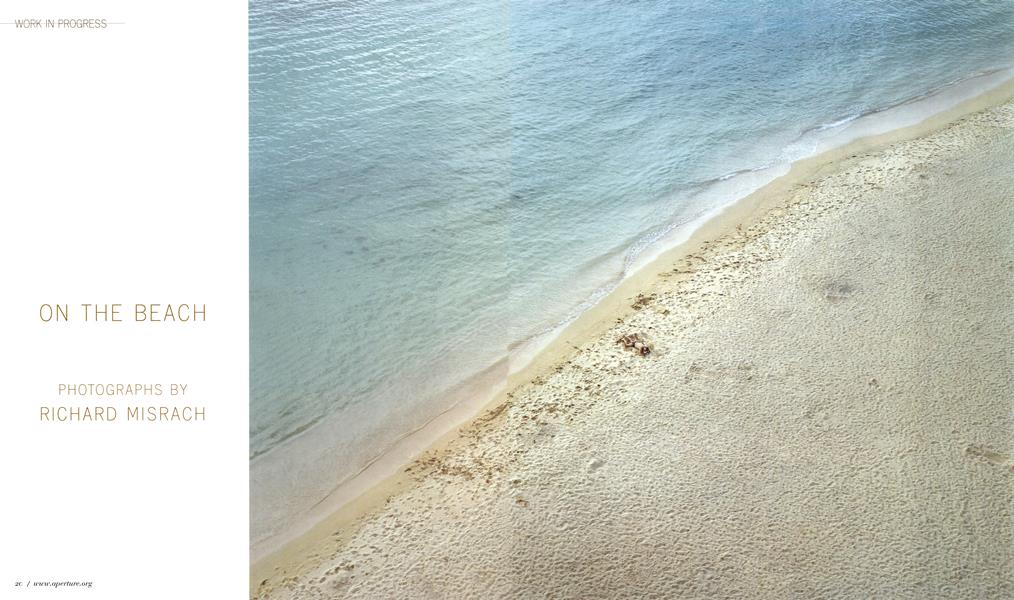 On The Beach: Photographs By Richard Misrach | Aperture | Spring 2004