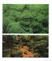 Page: - 65 | Aperture
