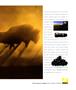 Page: - 1 | Aperture