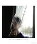 Page: - 33 | Aperture