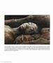 Page: - 60 | Aperture