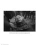 Page: - 64 | Aperture