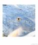 Page: - 69 | Aperture
