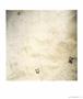 Page: - 71 | Aperture