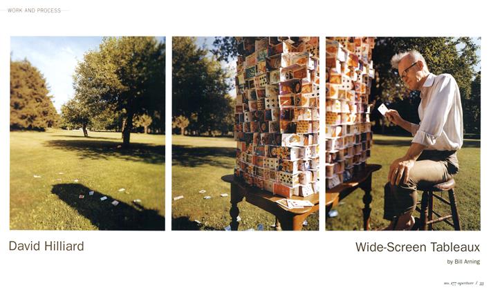 David Hilliard Wide-Screen Tableaux
