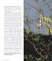 Page: - 22 | Aperture