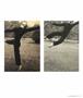 Page: - 27 | Aperture