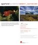 Page: - 10 | Aperture