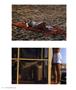 Page: - 22 | Aperture