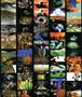 Page: - 31 | Aperture