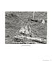 Page: - 71 | Aperture