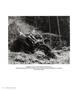 Page: - 72 | Aperture