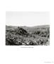 Page: - 73 | Aperture