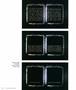 Page: - 38 | Aperture
