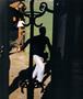 Page: - 73 | Aperture