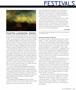 Page: - 83 | Aperture