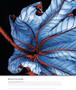 Page: - 0_2 | Aperture