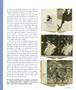 Page: - 57 | Aperture