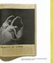 Page: - 61 | Aperture