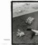 Page: - 80 | Aperture