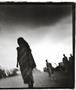 Page: - 83 | Aperture