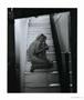 Page: - 33 | Aperture