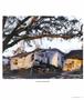 Page: - 31 | Aperture