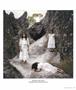 Page: - 63 | Aperture