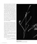Page: - 72 | Aperture