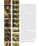 Page: - 78 | Aperture