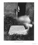 Page: - 25 | Aperture