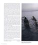 Page: - 48 | Aperture