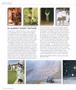 Page: - 84 | Aperture