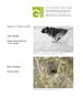 Page: - 17 | Aperture