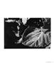 Page: - 31 | Aperture