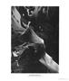 Page: - 33 | Aperture