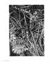 Page: - 34 | Aperture