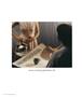 Page: - 78 | Aperture