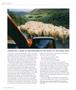 Page: - 82 | Aperture