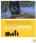 Page: - 90 | Aperture