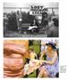 Page: - 77 | Aperture