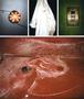 Page: - 59 | Aperture