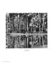 Page: - 72 | Aperture