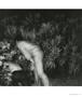 Page: - 75 | Aperture