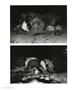 Page: - 82 | Aperture
