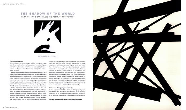The Shadow Of The World James Welling's Cameraless And Abstract Photography
