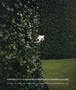 Page: - 15 | Aperture