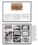 Page: - 25 | Aperture